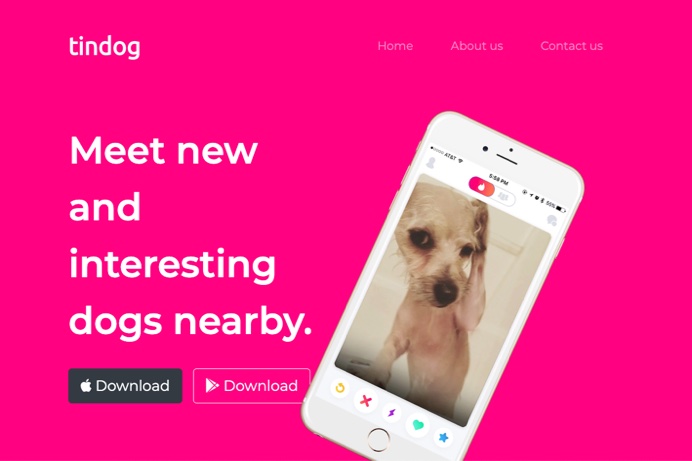 Tin Dog website